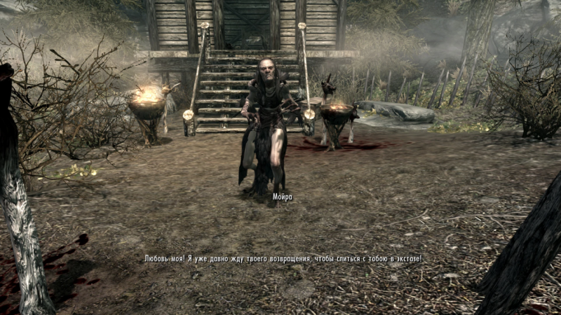 Тусовка с ведьмаками и загул по салунам — лучшие квесты с алкоголем в видеоиграх