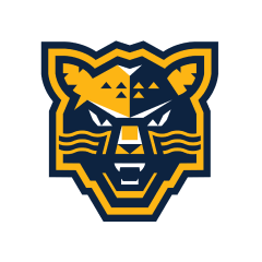 Каменский ответил на вопрос о возможном переносе домашних игр «Сочи» в другой регион