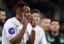 Дивеев высказался о конфликте Мойзеса и Челестини