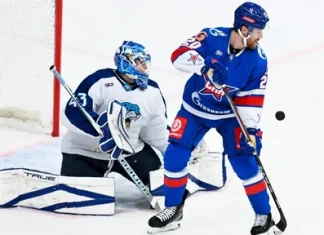 Полное руководство: где и как купить билеты на хоккей с комфортом и выгодой