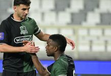 Капитан «Краснодара» обвинил болельщиков ЦСКА в расизме