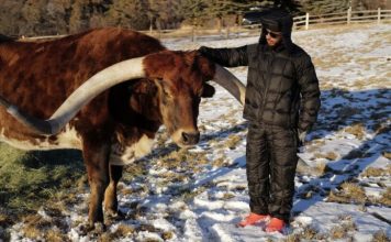 Льюис Хэмилтон завёл корову по имени… Макс