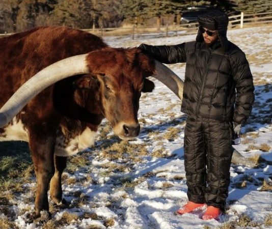 Льюис Хэмилтон завёл корову по имени… Макс