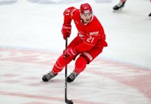 Плющев — о расторжении Ружички: после развода с ИИХФ контракты в КХЛ стали пластилиновыми