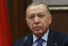 Эрдоган рассчитывает, что сборная Турции дойдет до финала ЧМ по футболу