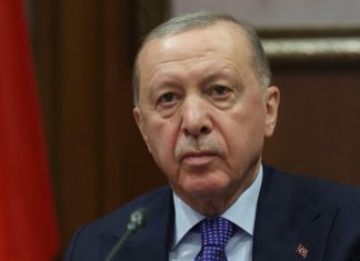 Эрдоган рассчитывает, что сборная Турции дойдет до финала ЧМ по футболу