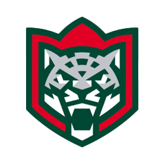 Форвард «Ак Барса» Яшкин: мы не выполнили свой план, соперник был получше нас сегодня